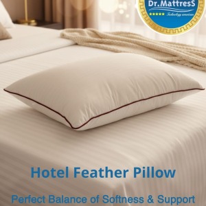 Hotel Pillows Department